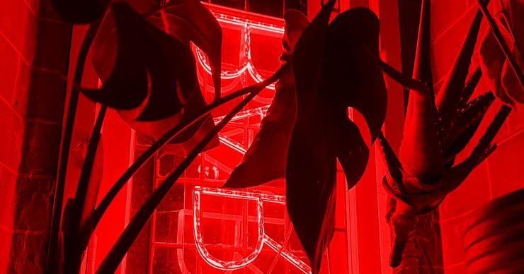 HYMN Bar Red